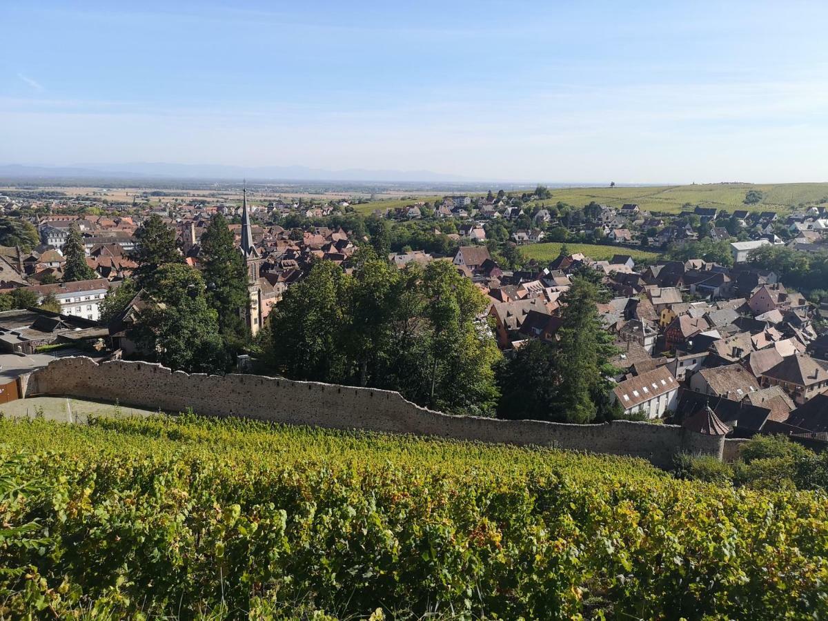 A La Cour De Ribeauville Avec Garage 외부 사진